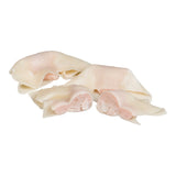 PÂTE WON TON PORC