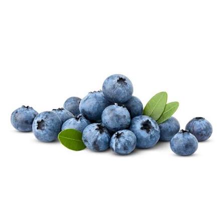 BLEUET