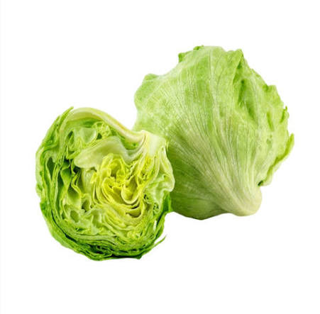 LAITUE ICEBERG